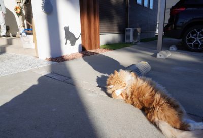 エクステリア 群馬県 太田市 外構工事