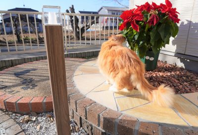 エクステリア 群馬県 太田市 外構工事